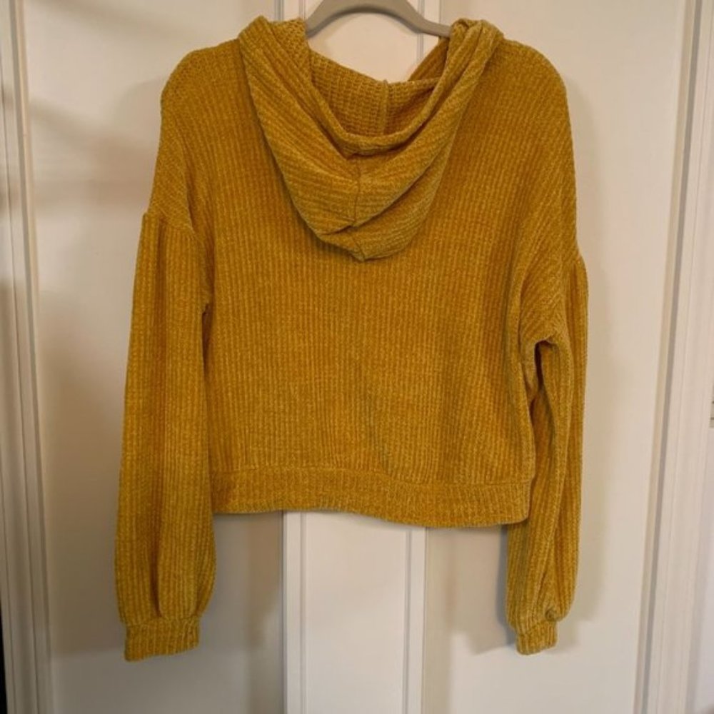 Gypsies & Moondust Cropped Hooded Chenille Sweatshirt